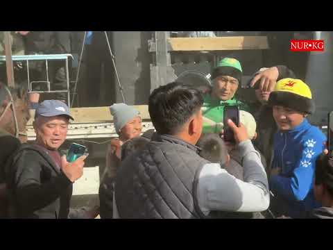 Видео: Лейлек Аламан Улагы Манас Ниязовту куйормандары Бошотбой кыйнады😂