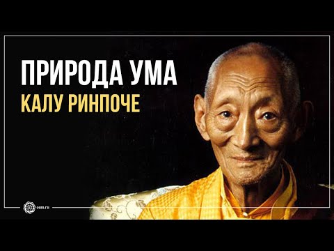 Видео: Природа ума. Калу Ринпоче