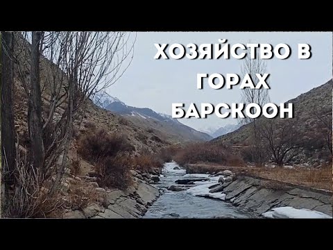 Видео: Форелевое хозяйство в горах Иссык Куля.