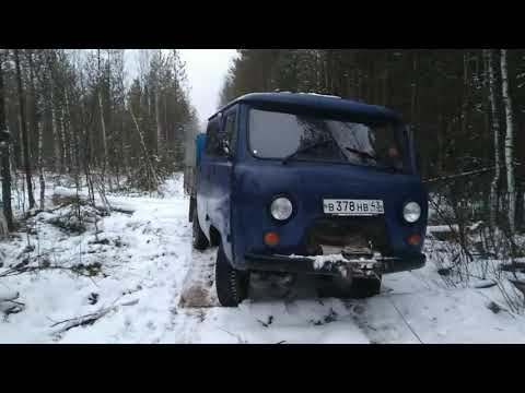 Видео: Охота на куницу капканами. Установка капканов КП-120 и ящичных ловушек. Начало сезона.