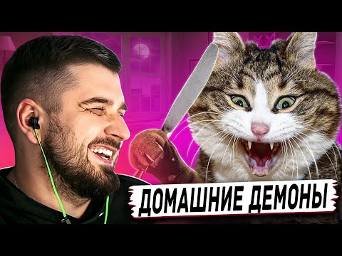 Видео: HARD PLAY РЕАКЦИЯ НА ЛУЧШИЕ ВИДЕО ПРИКОЛЫ С КОТАМИ ЗА ВСЁ ВРЕМЯ #1