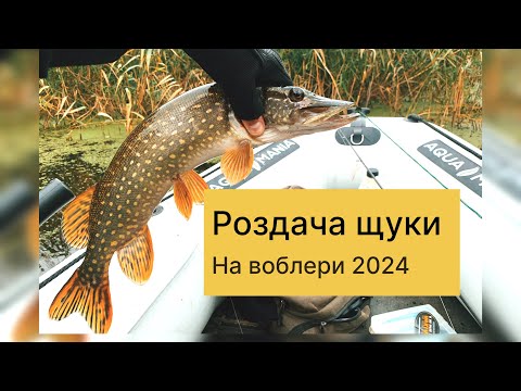 Видео: КЛЮЄ що СКАЖЕНА ✅ловля щуки на воблери осінню з човна на річці 2024