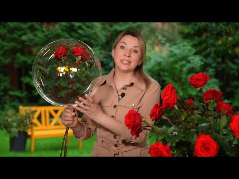 Видео: РОЗЫ В ШАРЕ - ОРИГИНАЛЬНЫЙ БУКЕТ