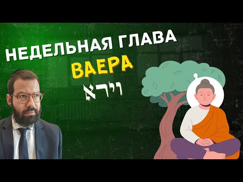 Видео: Недельная глава «ВАЕРА» (וירא)