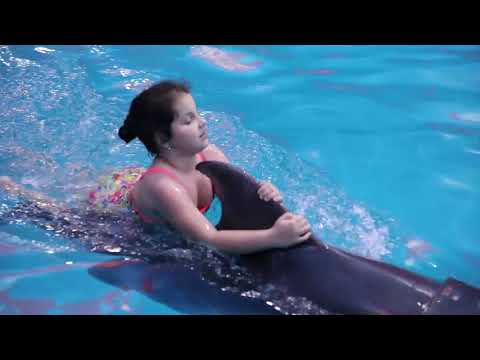 Видео: Купание с дельфинами в дельфинарии НЕМО, парк Ашхабад, Ташкент 2019.05.18