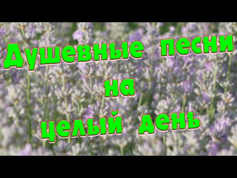 Видео: Заходи и Слушай! Здесь самые Лучшие песни!