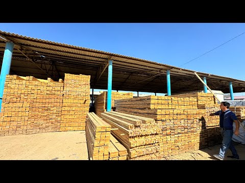 Видео: УРГАНЧ ТАХТА, ОГОЧ, СТРАПИЛА НАРХЛАРИ | URGANCH TAXTA BOZORI