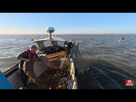 Видео: Наконец-то нашёл немного сельди! Самостоятельно спускаю на воду лодку. Традиционная дрифтерная се...