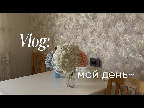 Видео: Vlog: мой день с сыном~