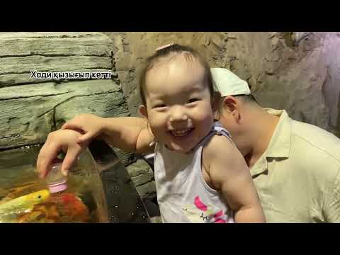 Видео: Ташкент 2 күн. Завтрак.Океанариум, Tashkent city, Seoul mun 😍