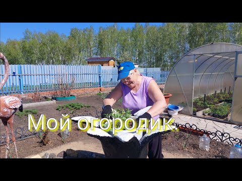 Видео: Обзор дачи 11 мая.