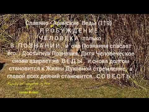 Видео: Пробуждение Человека в Познании🌼