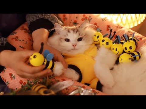 Видео: ASMR 🐝 Терапия пчелиным укусом для кошек | Cat Spa PT. 13