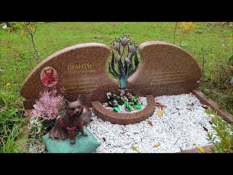 Видео: Кладбище животных в Москве..
