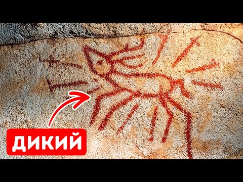 Видео: Открытия, изменяющие наши представления о раннем человечестве