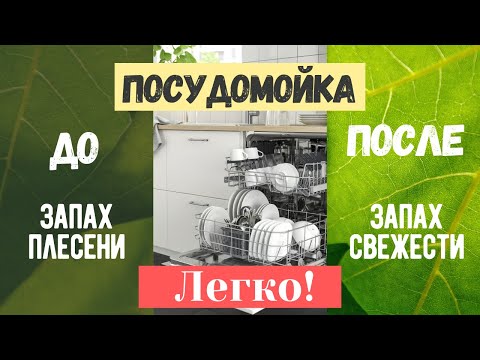 Видео: Неприятный запах в посудомоечной машине: как убрать и не допустить снова