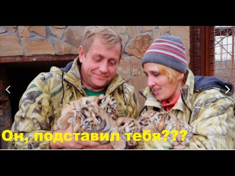 Видео: ШОК!!! Зуьков ПРИЧАСТЕН к смерти ЛЯЛИ? #животные #lion #тайган #новости