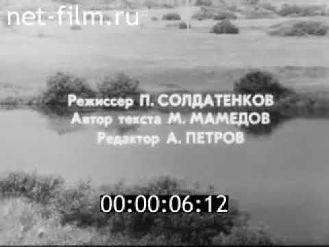 Видео: Спецвыпуск «Город Ярцево».