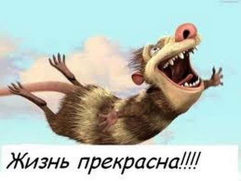 Видео: 35-45 лет - время поиска баланса и оптимальных решений