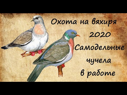 Видео: Охота на вяхиря_Самодельные чучела в работе