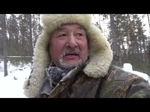 Видео: Переезд в другое зимовье. Охота на соболя 11