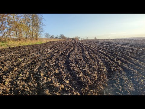 Видео: Економлю 10 л/га ДП на основному обробітку, КПЄ в ділі, 03.11.22