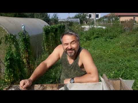 Видео: Строим вольер для Маргоши. Заканчиваем ремонт в квартире. Вадим требует спилить розы😭