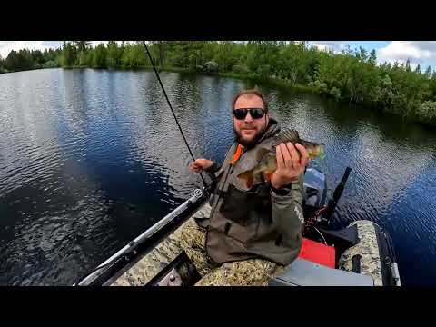 Видео: Отдых на речке с баней: ловля рыбы и релакс на природе! 🎣🌿 #рыбалка #отдых #fishing