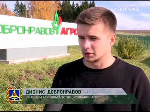 Видео: Край Брянский -  Навлинский район 13 11 17