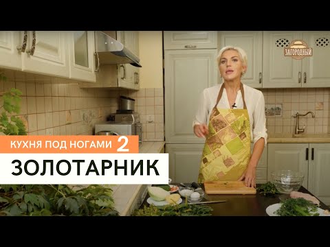 Видео: Золотарник \ Кухня под ногами. Сезон 2