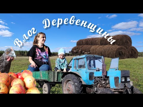 Видео: К зиме готовы! Сена целая гора. Наводим порядок на дворе...