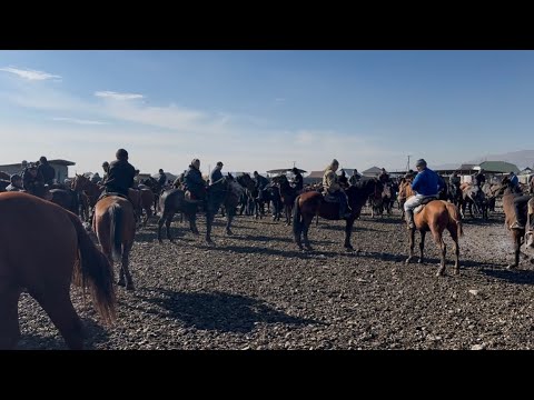 Видео: МАНАС ШААРЫ АТ🐎 базар