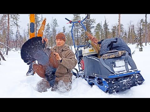 Видео: НЕ ОЖИДАЛ ТАКОГО ПОВОРОТА!!! В ПОСЛЕДНИЙ МОМЕНТ НАШЁЛ ИХ! ОХОТА НА ГЛУХАРЯ С МЕЛКАШКОЙ 2023. ПИЖМА.