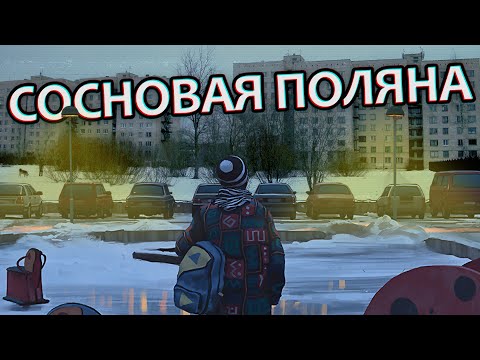 Видео: СОСНОВАЯ ПОЛЯНА Петербурга (Электрофорез, Дом-змея, Ленфильм)