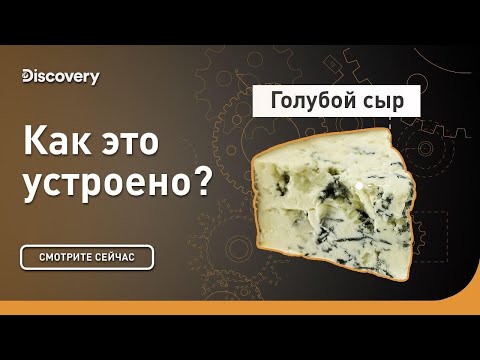 Видео: Голубой сыр Стилтон | Как это устроено | Discovery