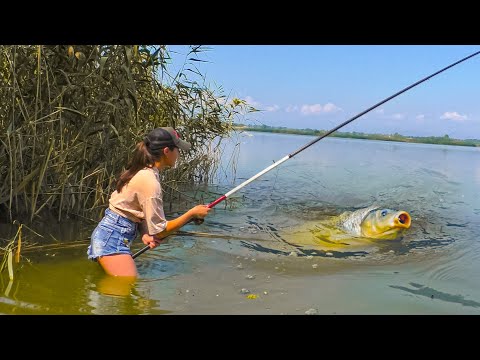 Видео: ТАКОГО ВЫ НЕ ВИДЕЛИ! ДИКИЙ САЗАН ЗАТАЩИЛ ДЕВУШКУ В ВОДУ! Сазан на боковой кивок. Рыбалка 2023