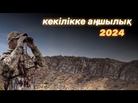 Видео: Кекілікке аңшылық 2024!  18 кекіліктің оқиғасы! Охота на кеклик 2024!