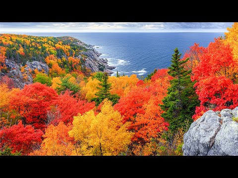 Видео: Осенний пейзаж 🍂 Эта мелодия, думаю, она останется в вашей памяти 🍁