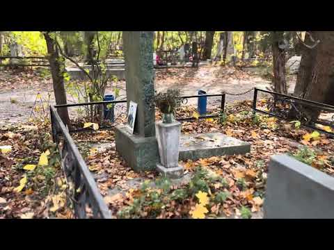 Видео: Развитие магического дара. Ритуалы на магические способности. О наставниках в магии 