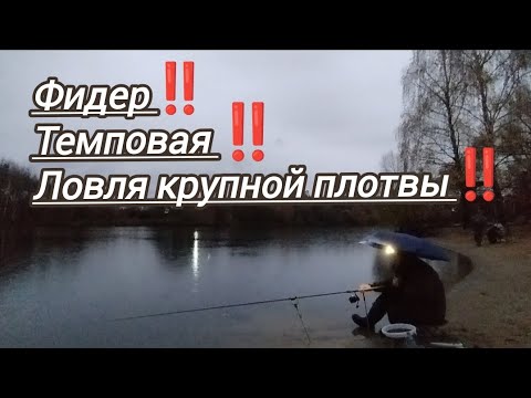Видео: ФИДЕР РЫБАЛКА ОСЕНЬЮ НА РЕКЕ 
