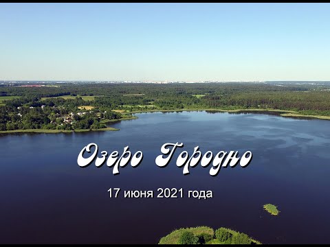 Видео: 2021.06.17 (16:15) - Сосновка, озеро Городно