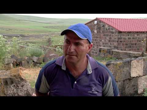 Видео: Гампр Армянский волкодав