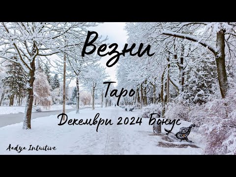 Видео: Везни ♎ Таро 🌻 Куцаща комуникация! Декември Бонус'24
