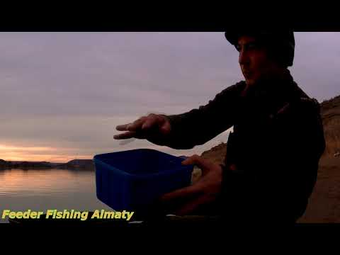 Видео: Рыбалка на фидер. Шикарный клёв воблы. Капчагай, скалы 05.12.2019 год.