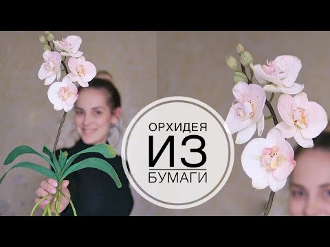 Видео: Paper ORCHID / ОРХИДЕЯ из бумаги / Как долго ее ждали / DIY TSVORIC