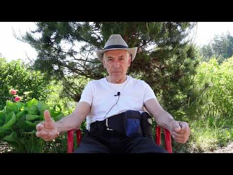 Видео: Пермакультура - настоящее и будущее Часть 1