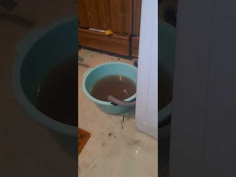 Видео: Первая стирка на Самсунге я наконец-то его сделал Я запихал 5кг бак в 3 кг сттралку