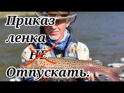 Видео: Арму 2024.Часть Первая. "Приказ-ленка не отпускать".