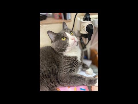 Видео: Соскучилась по вам 🤗.