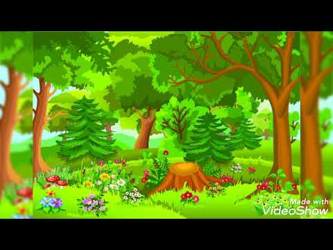 Видео: дитина у природньому довкіллі " Подорож до лісу"